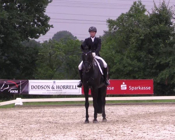 Reitturnier Münster, St. Georg | Dressurtage am Aasee 2024