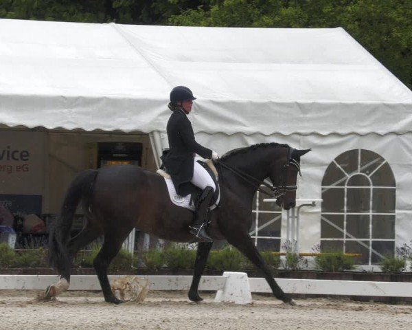 Reitturnier Lindlar - Reitanlage Dückers 2024
