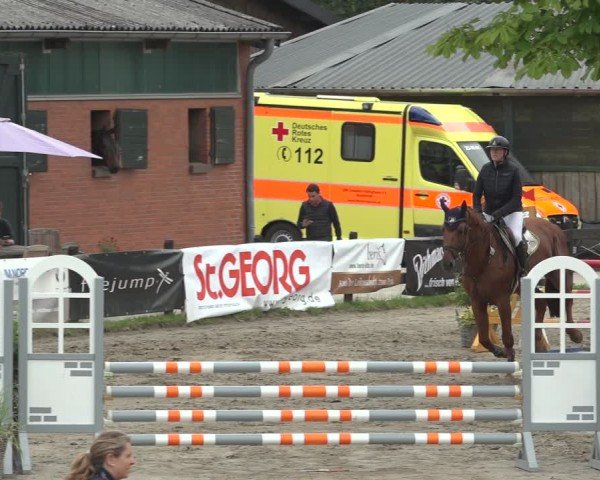 Reitturnier Breitenburg 2024