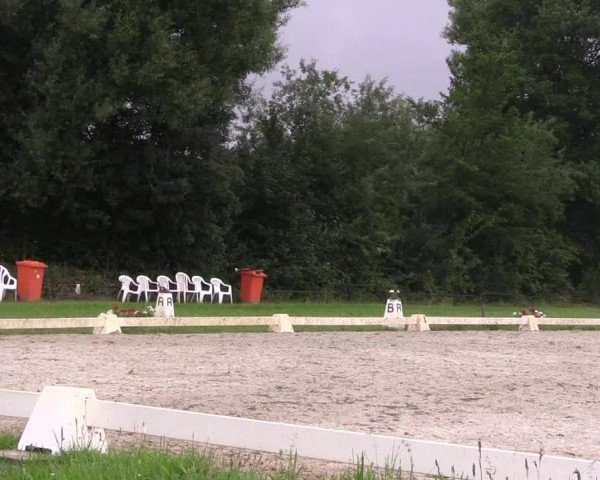 Reitturnier Münster, St. Georg | Dressurtage am Aasee 2024