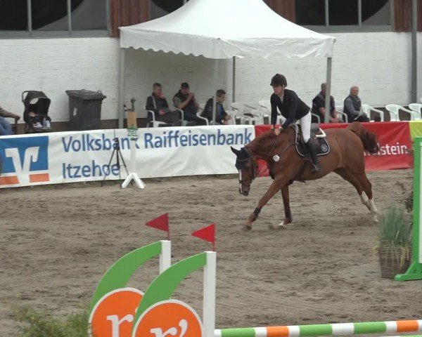 Reitturnier Breitenburg 2024