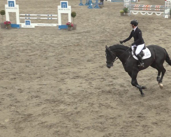 Reitturnier Breitenburg 2024