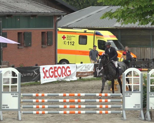 Reitturnier Breitenburg 2024