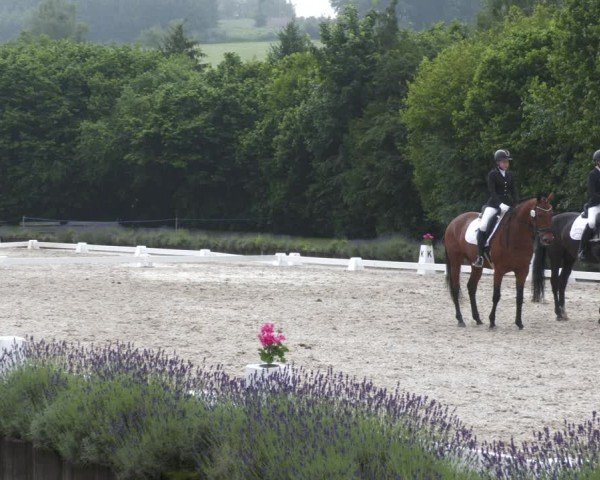 Reitturnier Lindlar - Reitanlage Dückers 2024