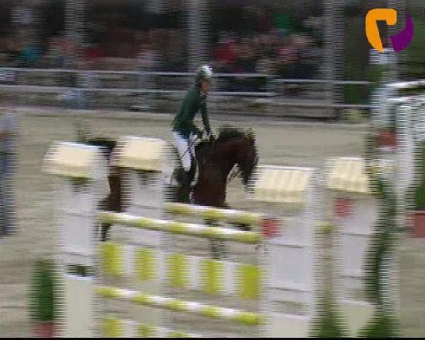 Vosswinkeler Reitertage 2012