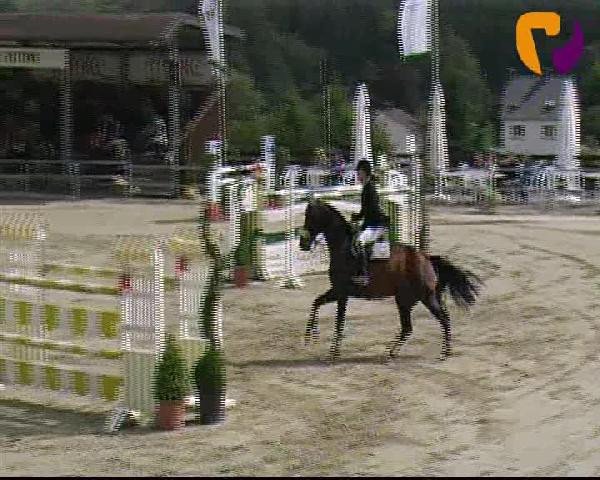 Vosswinkeler Reitertage 2012