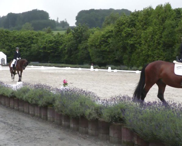 Reitturnier Lindlar - Reitanlage Dückers 2024