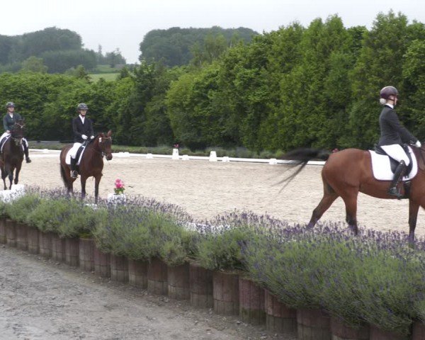 Reitturnier Lindlar - Reitanlage Dückers 2024