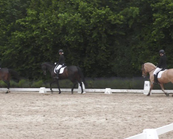 Reitturnier Lindlar - Reitanlage Dückers 2024