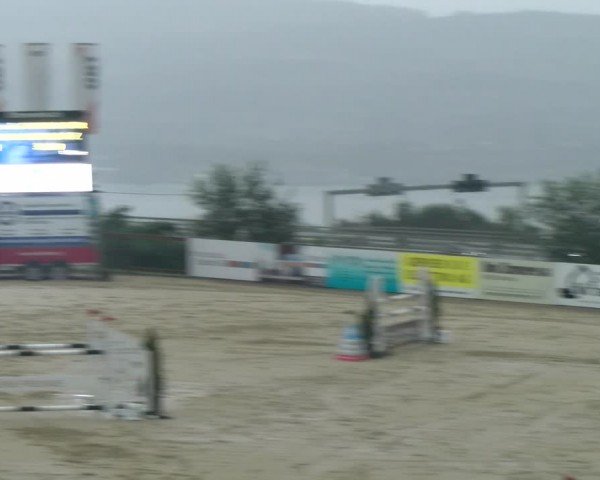 Reitturnier Wädenswil 2024