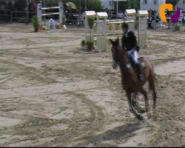 Vosswinkeler Reitertage 2012