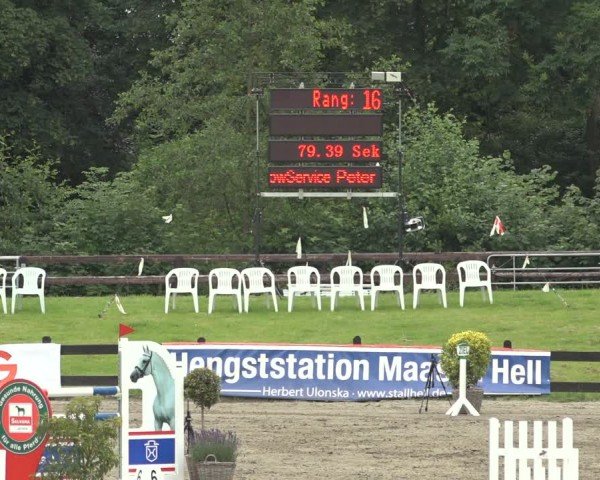 Reitturnier Breitenburg 2024