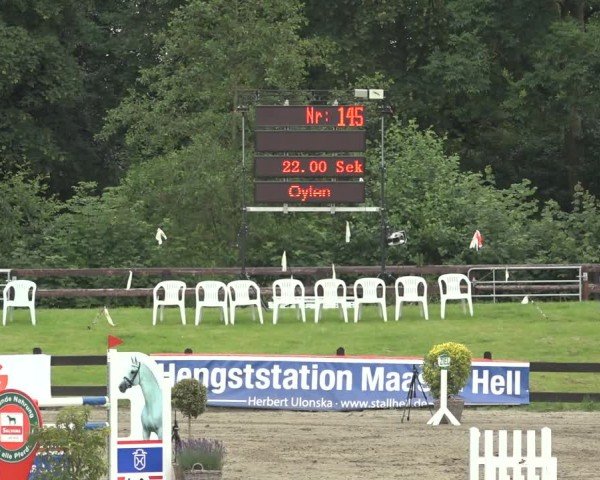 Reitturnier Breitenburg 2024