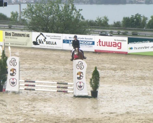 Reitturnier Wädenswil 2024