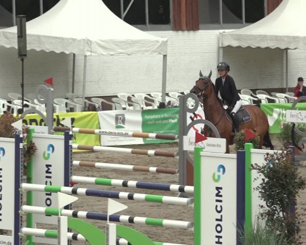 Reitturnier Breitenburg 2024