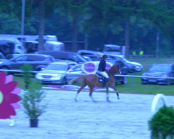 Reitturnier Sonsbeck 2024