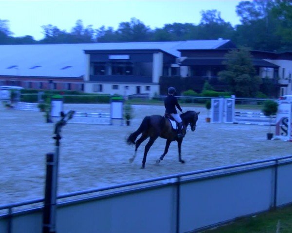 Reitturnier Sonsbeck 2024