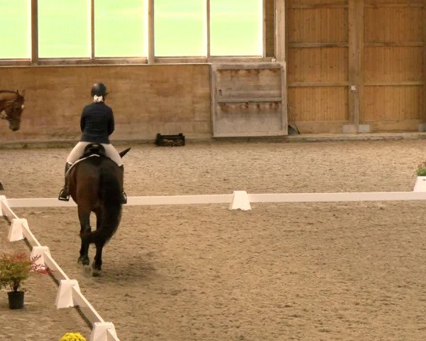 Reitturnier Rüti 2021