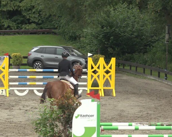 Reitturnier Breitenburg 2024