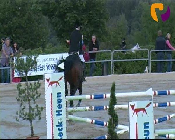 Vosswinkeler Reitertage 2012