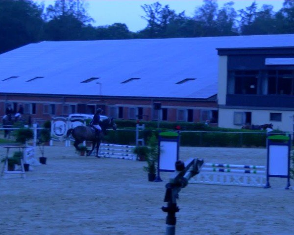 Reitturnier Sonsbeck 2024