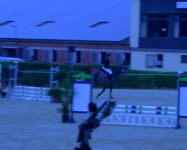 Reitturnier Sonsbeck 2024