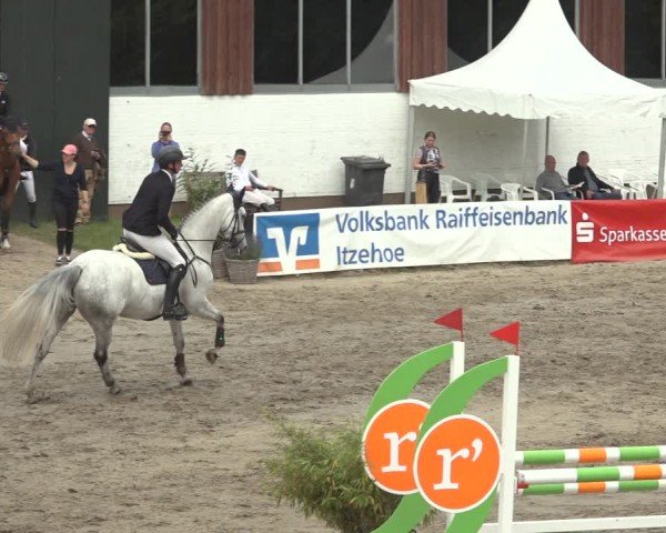 Reitturnier Breitenburg 2024
