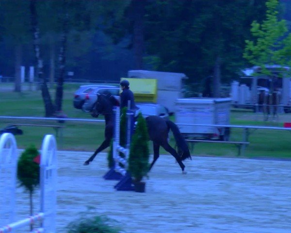 Reitturnier Sonsbeck 2024