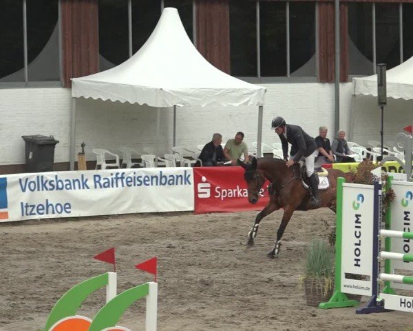 Reitturnier Breitenburg 2024