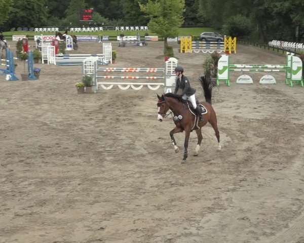 Reitturnier Breitenburg 2024