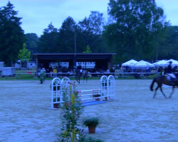 Reitturnier Sonsbeck 2024