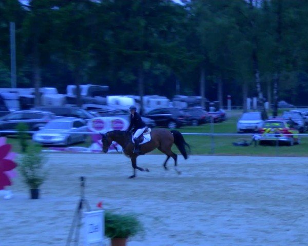Reitturnier Sonsbeck 2024