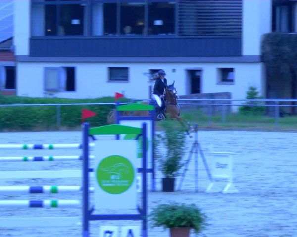 Reitturnier Sonsbeck 2024