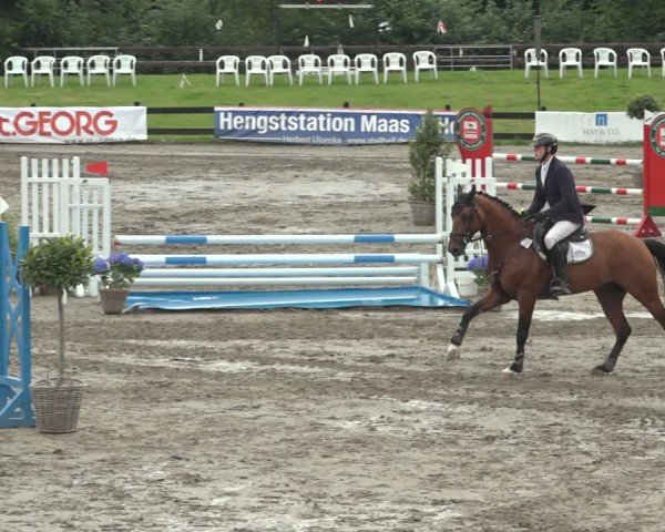 Reitturnier Breitenburg 2024