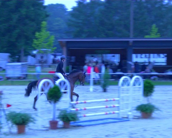 Reitturnier Sonsbeck 2024