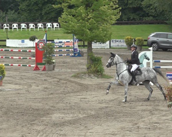 Reitturnier Breitenburg 2024