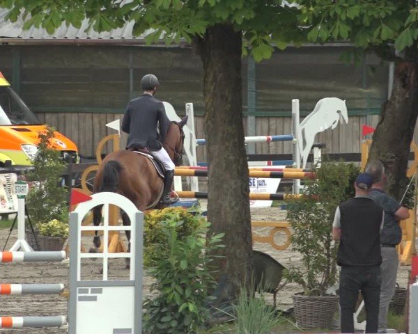 Reitturnier Breitenburg 2024