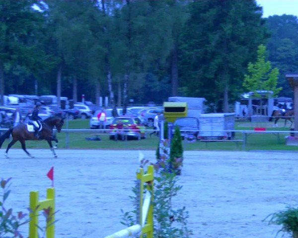 Reitturnier Sonsbeck 2024