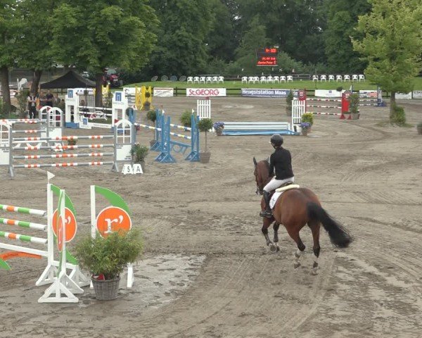 Reitturnier Breitenburg 2024