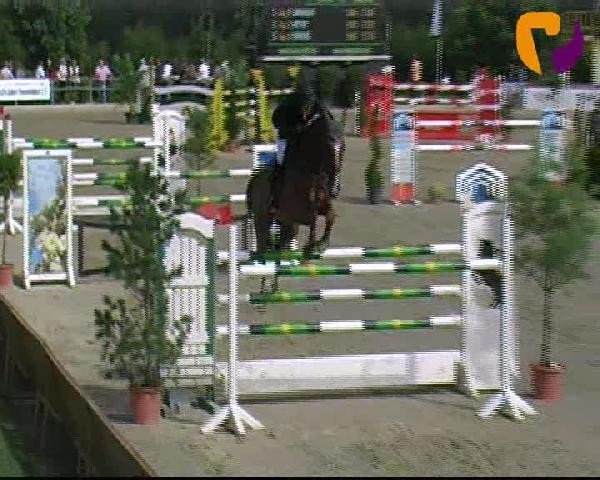 Vosswinkeler Reitertage 2012
