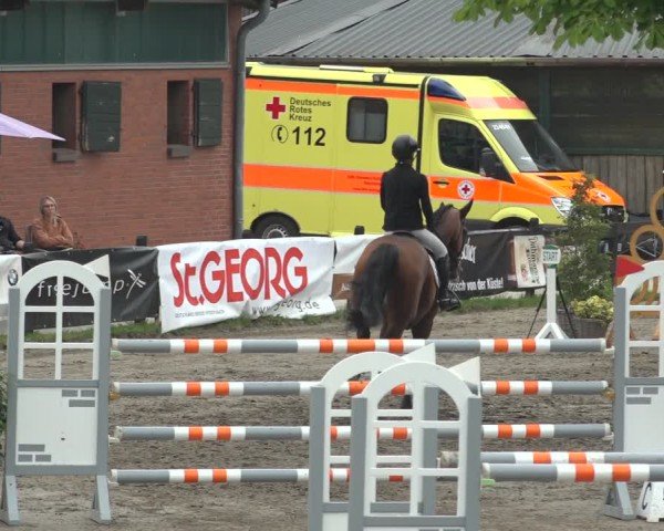 Reitturnier Breitenburg 2024