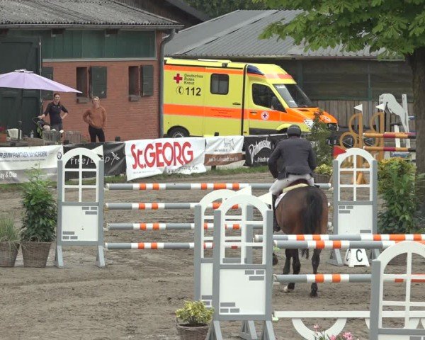 Reitturnier Breitenburg 2024