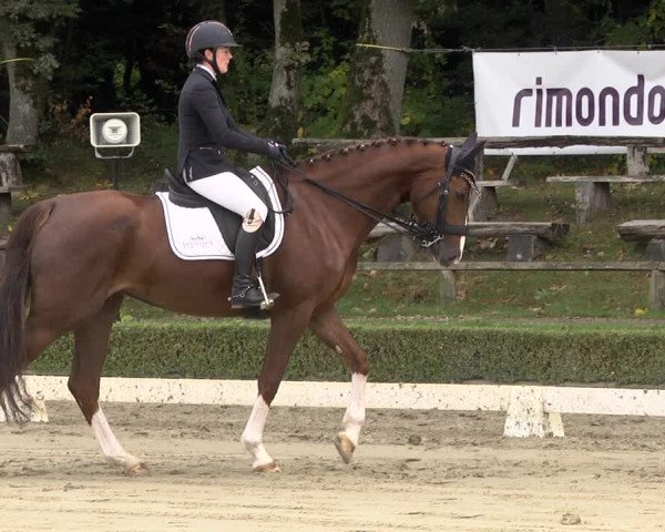 Equestrian Show Neu-Anspach / Wintermühle 2021
