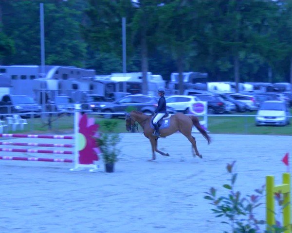 Reitturnier Sonsbeck 2024