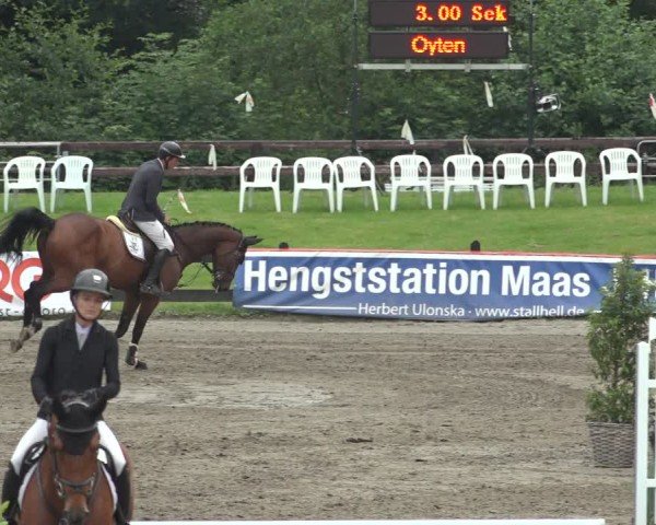 Reitturnier Breitenburg 2024