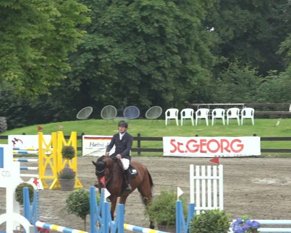 Reitturnier Breitenburg 2024