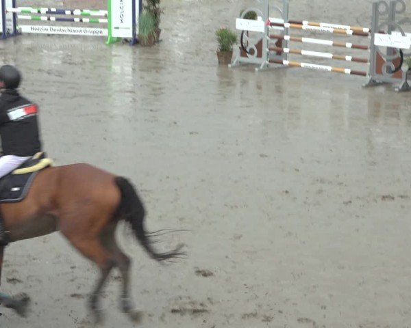 Reitturnier Breitenburg 2024