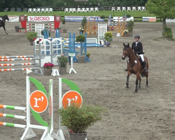 Reitturnier Breitenburg 2024