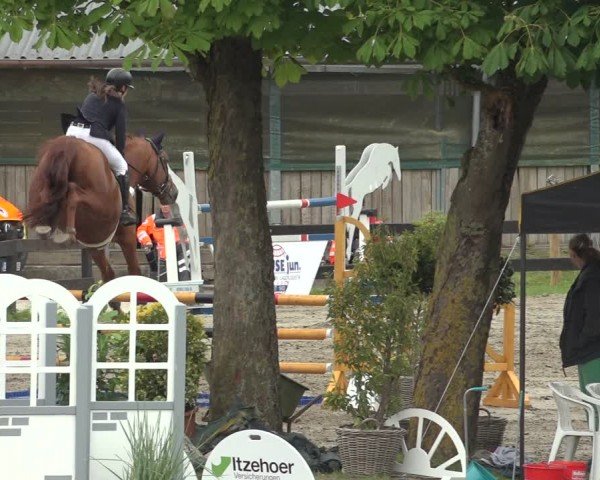 Reitturnier Breitenburg 2024