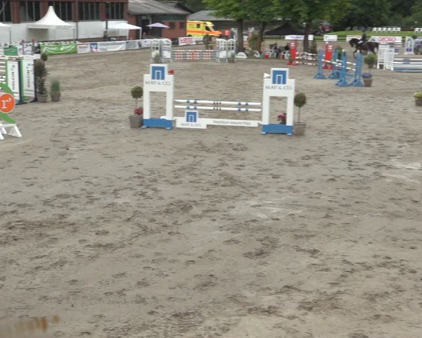 Reitturnier Breitenburg 2024